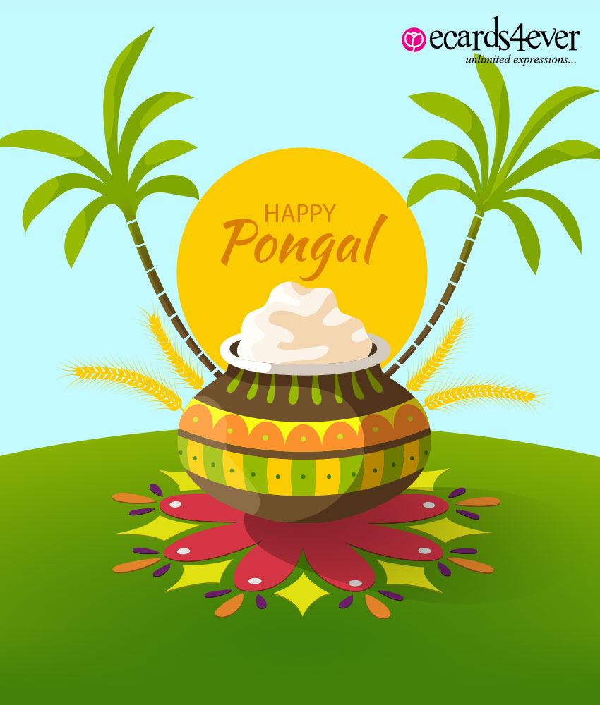 cook the yummy Pongal